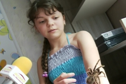 I-a daruit fiicei de 10 ani, o tarantula. Ce colectie infioratoare detine un barbat din Chisinau - VIDEO