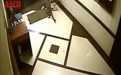 IMAGINI SOCANTE. Un leopard se strecoara intr-o locuinta si ataca un caine. VIDEO IMAGINI SOCANTE. Un leopard se strecoara intr-o locuinta si ataca un caine. VIDEO