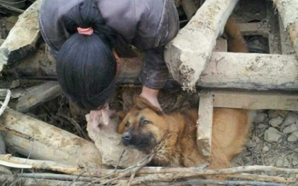 Istoria impresionanta a unui caine: captiv dupa cutremurul din China, a trait doar cu apa de ploaie