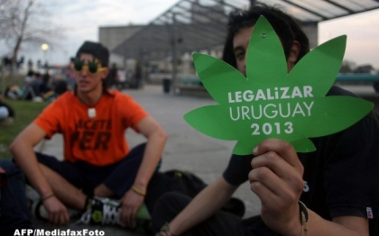 Uruguay ar putea fi prima tara cu o piata legala de productie, distributie si vanzare a marijuanei Uruguay ar putea fi prima tara cu o piata legala de productie, distributie si vanzare a marijuanei