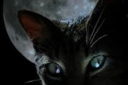 Superstitii marti 13. Ce nu trebuie sa faceti in aceasta zi, considerata cea mai ghinionista din an