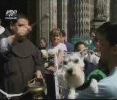 Si-au adus animalele de companie la biserica pentru a le sfinti! Si-au adus animalele de companie la biserica pentru a le sfinti!