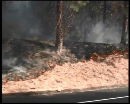 Statele Unite lupta cu incendiile de vegetatie. Un parc national din San Francisco, facut scrum Statele Unite lupta cu incendiile de vegetatie. Un parc national din San Francisco, facut scrum