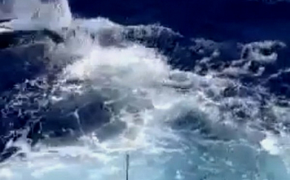 Au fost la un pas de moarte, cand au incercat sa scoata din apa captura lor impresionanta. VIDEO