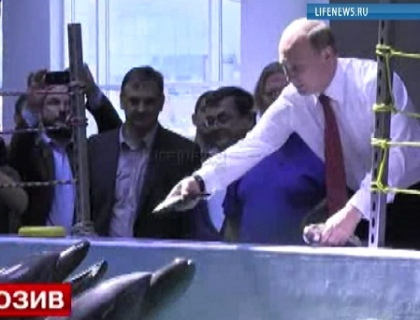 Vladimir Putin continua sa-si promoveze imaginea de erou. Vezi cum a hranit cu peste cativa delfini