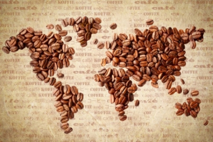 Ghidul celor mai bune regiuni de cafea din lume Ghidul celor mai bune regiuni de cafea din lume