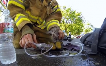 Momentele emotionante surprinse de un Go Pro, cea mai eficienta reclama desprinsa din realitate