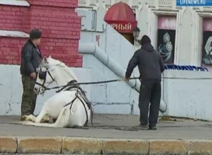 Incident dramatic in timpul repetitiilor de la Moscova pentru parada din 7 noiembrie: 4 cai au evadat Incident dramatic in timpul repetitiilor de la Moscova pentru parada din 7 noiembrie: 4 cai au evadat