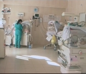 A nascut 5 copii deodata! A nascut 5 copii deodata!