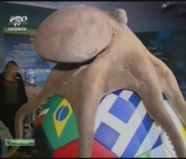 Celebra caracatita Paul are propriul monument! Celebra caracatita Paul are propriul monument!