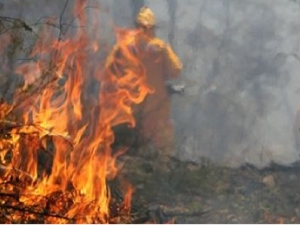 Incendiile de vegetatie se extind in toata tara. Cele mai afectate raioane