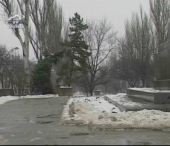 Temperaturi primavaratice in plina iarna! Temperaturi primavaratice in plina iarna!