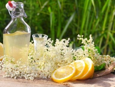 Socata, o bautura vindecatoare. De ce trebuie sa o bei in fiecare zi Socata, o bautura vindecatoare. De ce trebuie sa o bei in fiecare zi
