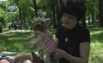 Moda in 4 labe. Cainii din Moldova sunt in pas cu ultimele tendinte Moda in 4 labe. Cainii din Moldova sunt in pas cu ultimele tendinte