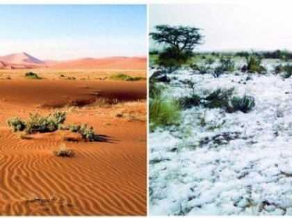 Haos climatic. A nins in mijlocul desertului. FOTO Haos climatic. A nins in mijlocul desertului. FOTO