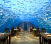 Daca nu esti prieten cu bucatarul, astepti 6 luni pentru o rezervare. Cele mai vanate restaurante Daca nu esti prieten cu bucatarul, astepti 6 luni pentru o rezervare. Cele mai vanate restaurante