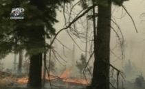 SUA amenintata de incendiile de vegetatie: Un laborator nuclear din New Mexico risca sa explodeze SUA amenintata de incendiile de vegetatie: Un laborator nuclear din New Mexico risca sa explodeze