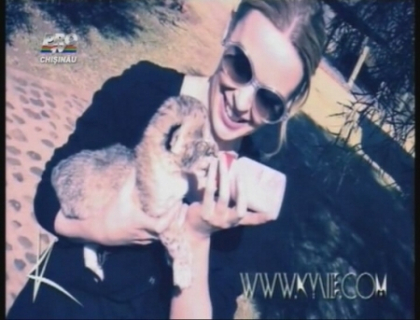 Kylie mamica! A adoptat un pui de leu Kylie mamica! A adoptat un pui de leu