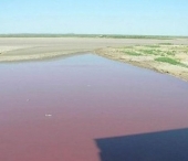 Ca pe timpul lui Moise. Apa unui lac din Texas s-a transformat in "sange". FOTO si VIDEO