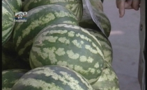 Atentie! Intoxicatii cu pepene verde. Medicii recomanda sa cumparam alimente doar din locuri autorizate
Atentie! Intoxicatii cu pepene verde. Medicii recomanda sa cumparam alimente doar din locuri autorizate