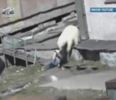 Atacata de un urs polar in timp ce se ducea la veceu! Scena de groaza intr-un oras din Rusia Atacata de un urs polar in timp ce se ducea la veceu! Scena de groaza intr-un oras din Rusia
