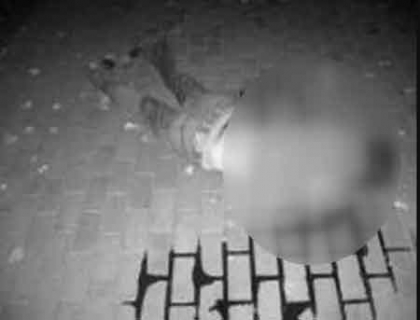 Nepasare totala! A lovit mortal un pieton si l-a lasat sa zaca in plina strada Nepasare totala! A lovit mortal un pieton si l-a lasat sa zaca in plina strada