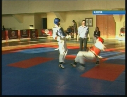 Vadim Dimitrov - vicecampion european la taekwondo pentru juniori la 15 ani