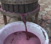 Sfaturi din batrani. Care e formula perfecta pentru un vin gustos si aromat Sfaturi din batrani. Care e formula perfecta pentru un vin gustos si aromat