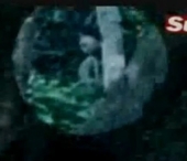 Creatura bizara descoperita in padurea triburilor uitate de lume. VIDEO Creatura bizara descoperita in padurea triburilor uitate de lume. VIDEO
