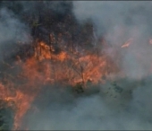Australia in flacarii! Incendiile de vegetatie au pus pe jar orasul Sydney! Sute de case evacuate