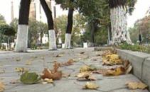 Vremea se raceste pana la -8 grade. Iarna vine cu pasi lenti dar fermi