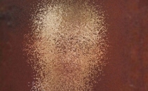 El este somerul caruia nicio femeie nu-i poate rezista. Ce il face sa fie atat de special El este somerul caruia nicio femeie nu-i poate rezista. Ce il face sa fie atat de special