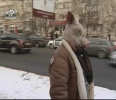 Anatol Matasaru, amendat pentru "keks"