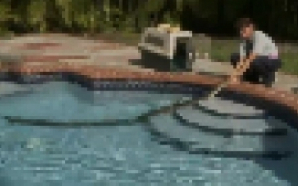 VIDEO. Ultimul lucru pe care ai vrea sa-l gasesti in piscina ta VIDEO. Ultimul lucru pe care ai vrea sa-l gasesti in piscina ta