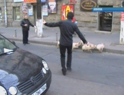 Cu pestele la Parlament! O punga cu peste mort a fost aruncata in fata Legislativului Cu pestele la Parlament! O punga cu peste mort a fost aruncata in fata Legislativului