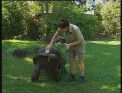 Canicula in Australia: 35 de persoane au cazut la pamant doborati de zapuseala Canicula in Australia: 35 de persoane au cazut la pamant doborati de zapuseala