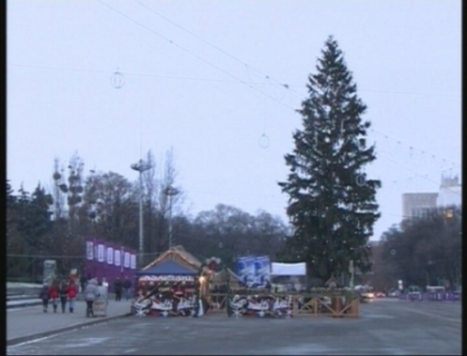 Mai avem brad pentru inca o zi. Primii fulgi de nea l-au induiosat pe primar Mai avem brad pentru inca o zi. Primii fulgi de nea l-au induiosat pe primar