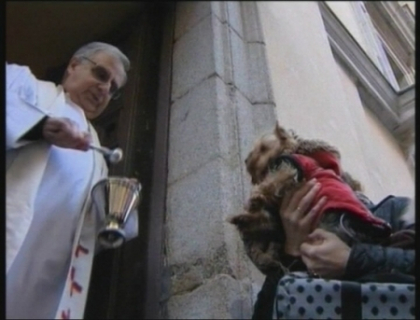 Caini si pisici sfintite. Mai multi spanioli si-au adus animalele de companie la biserica Caini si pisici sfintite. Mai multi spanioli si-au adus animalele de companie la biserica