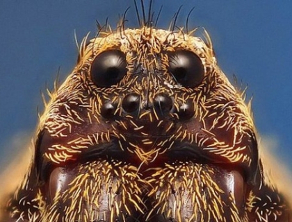 Galerie FOTO. Cum au fost realizate aceste fotografii incredibile. Si tu le-ai putea face
