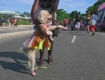 La Rio de Janeiro animalele de companie au carnavalul lor! Vezi cum au defilat