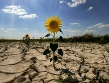 Planeta, la un pas de o CRIZA alimentara fara precedent. Solutiile pentru a evita foametea Planeta, la un pas de o CRIZA alimentara fara precedent. Solutiile pentru a evita foametea