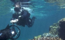Cel mai fascinant proiect al celor de la Google. Dupa succesul Street View, urmeaza Sea View. VIDEO