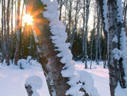 Vine primavara? In sudul tarii in weekend se asteapta temperaturi de pana la 7 grade de caldura!