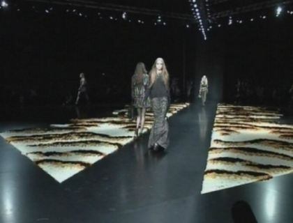 cavalli cavalli