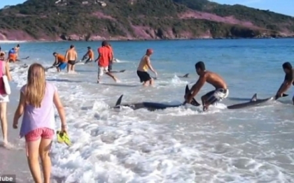 Imaginile care iti vor reda increderea in omenire. S-a intamplat pe o plaja din Rio de Janeiro Imaginile care iti vor reda increderea in omenire. S-a intamplat pe o plaja din Rio de Janeiro