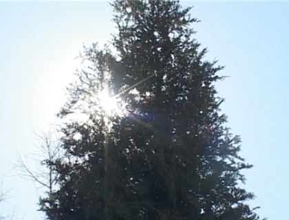 Vremea se raceste! Ce ne transmit meteorologii pentru saptamana urmatoare Vremea se raceste! Ce ne transmit meteorologii pentru saptamana urmatoare
