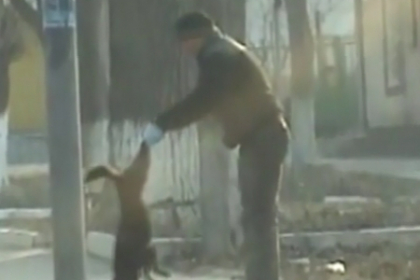 Masacrul patrupezilor! Caini si pisici impuscate in plina strada la Leova. Locuitorii, ingroziti Masacrul patrupezilor! Caini si pisici impuscate in plina strada la Leova. Locuitorii, ingroziti