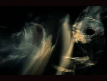 Video socant. Imaginile care te pot face sa renunti la ceea ce te tine viu Video socant. Imaginile care te pot face sa renunti la ceea ce te tine viu