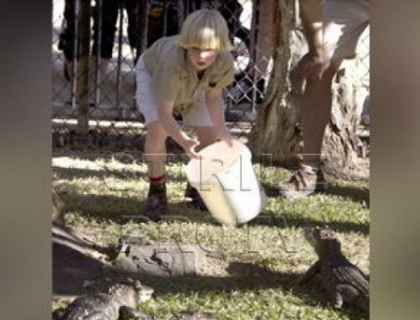 Imaginea spectaculoasa a unei legende ce e dusa mai departe. Fiul lui Steve Irwin, pe urmele tatalui
