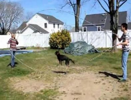 Un caine face senzatie pe YouTube. Cat de bine stie sa sara coarda - VIDEO